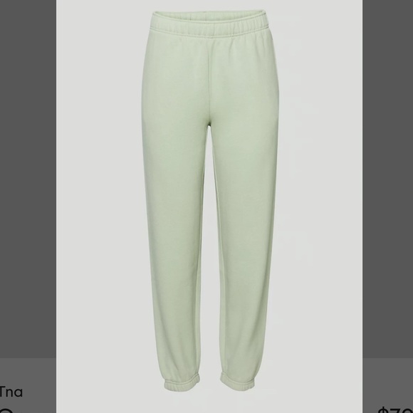 Aritzia Cozy Fleece Boyfriend Sweatpants - size 2XS - Picture 4 of 5